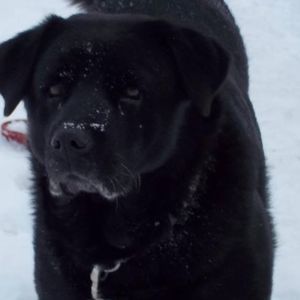 Meet your Posher, Cathy